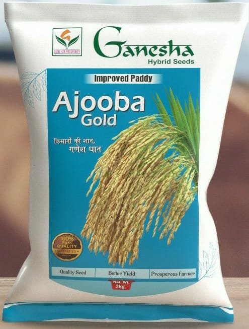 Ajooba Gold